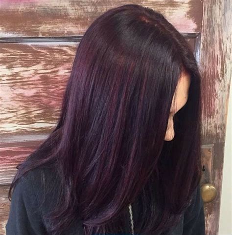 Garnier nutrisse nourishing hair color creme is one of the best red hair dyes with 100 percent gray coverage. Purple tint | Hair tint, Hair color plum, Plum hair