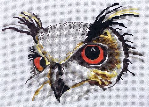 Owl In Close Up Cross Stitch Kit By Lanarte Cross Stitch Cross Stitch Patterns Owl Cross