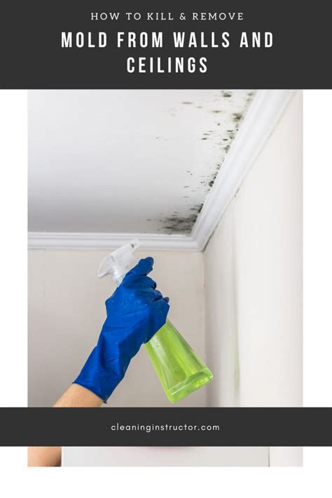 How To Kill And Remove Mold From Walls And Ceilings