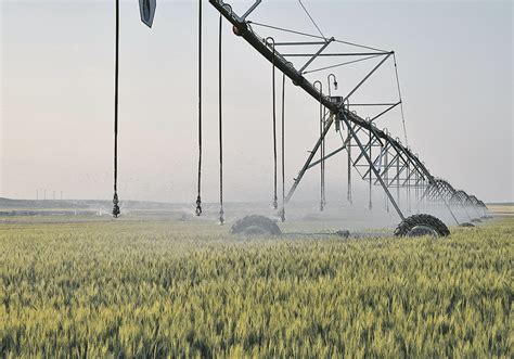 Sask Irrigation Proposal Defended The Western Producer
