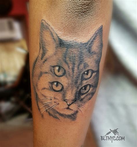 Discover thousands of free cat tattoos & designs. Double Eyes Cat Portrait Tattoo by Nasa #tattoo # ...