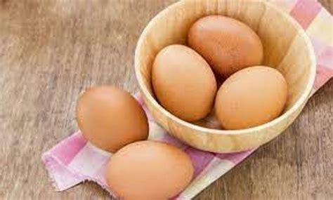 سعر البيض الاورجانيك في مصر