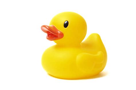 Royalty Free Rubber Duck Pictures Images And Stock Photos Istock