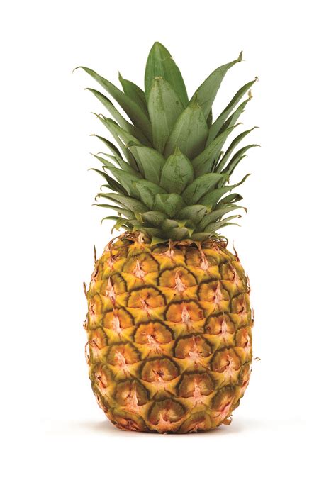 Pineapple Free Images At Vector Clip Art Online Royalty