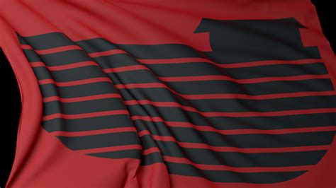 Flags From Possible On Behance