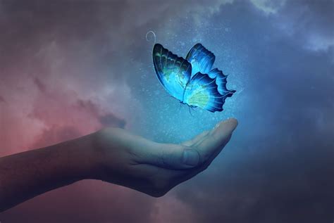 Butterfly Effect Photo Manipulation Tutorial Butterfly Background