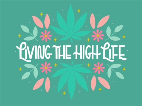 Living The High Life By Amanda Kammarada On Dribbble