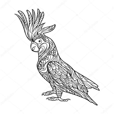Papuga Kakadu Kolorowanka Dla Doros Ych Wektor Ilustracja Stockowa Od Alexanderpokusay