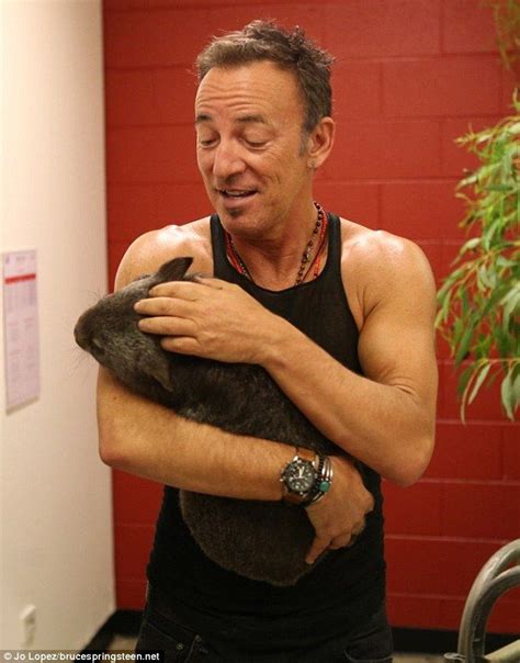 Rock God Springsteen Cuddles A Wombat Named Bumble Bruce Springsteen