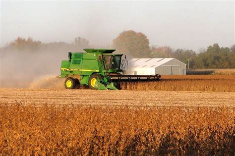 Harvest Time In Michigan How Does A Combine Harvest Soybeans