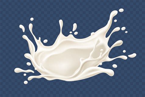 Milk Splash Realistic Splashes And Drops Stock Illustration Download