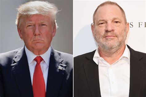 Donald Trump Not Surprised By Harvey Weinstein Reports