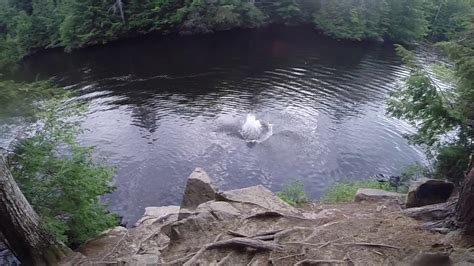 Maybe you would like to learn more about one of these? Salmon Falls - YouTube