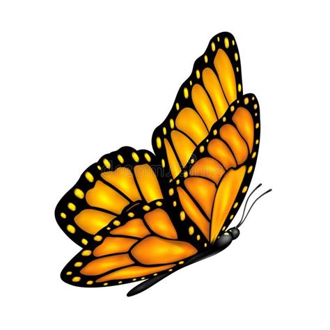 Free Free 175 White Flying Butterfly Svg SVG PNG EPS DXF File