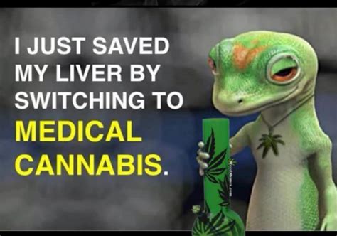Gekko Stoner Saved Liver By Switching To Medical Cannabis Weed Memes