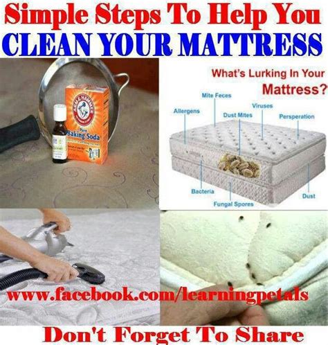 Dust mites don't leave bites on your skin however bed bugs do leave bites on your skin. Get rid of dust mites | Mattress cleaning, Dust mites ...