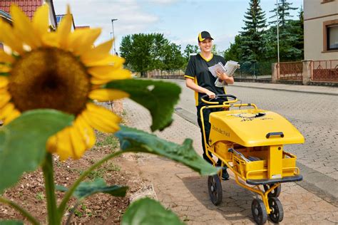 Guide to DHL Express shipping insurance