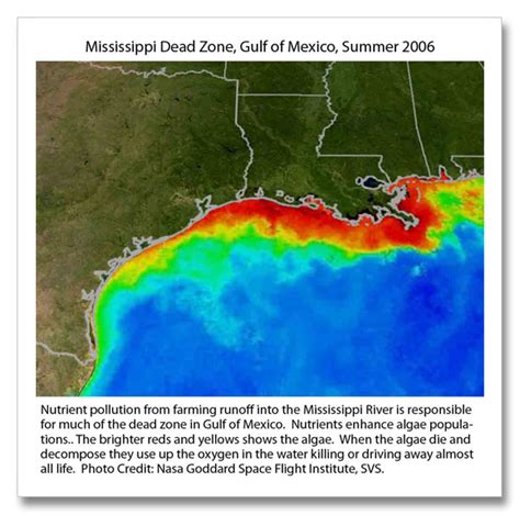 More Ocean Dead Zones Create Significant Greenhouse Gas