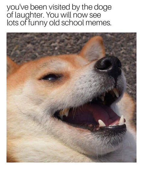 Laughing Doggo Meme By Mercenaryhero Memedroid