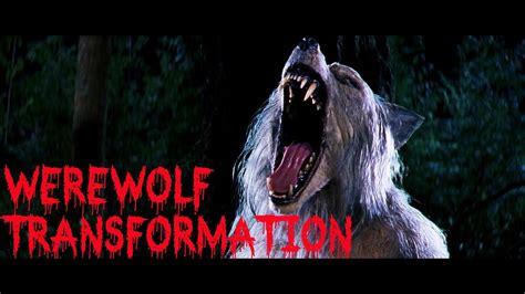 Ted Werewolf Transformation Forest Scene Bad Moon Hd Youtube