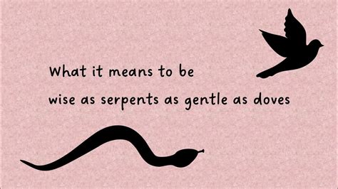 What It Means To Be Wise As Serpents As Gentle As Doves 31 July 2022