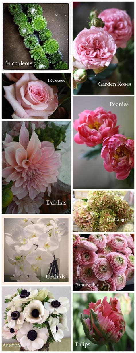 All About Flowers Flirty Fleurs The Florist Blog Inspiration For