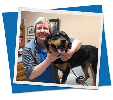 Vca all pets animal hospital. Pet Dental Care | Coursey Blvd Animal Hospital in Baton Rouge