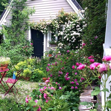 Der weg zu deinem traumgarten von cottage garten anlegen, quelle:mycottagegarden.mykajabi.com. Cottage Garten - Wilde Rosen | Cottage garten, Garten ...