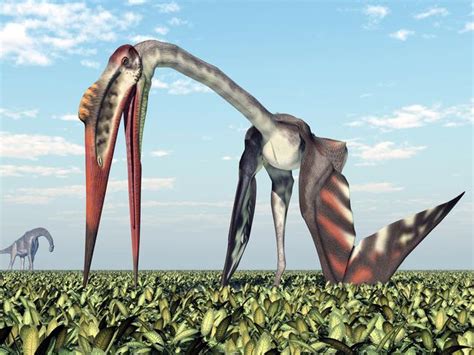 Scientists Discover Previously Unknown Species Of Giant Pterosaur With Fang Like Teeth The