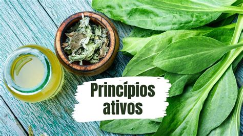 O Que São Principios Ativos
