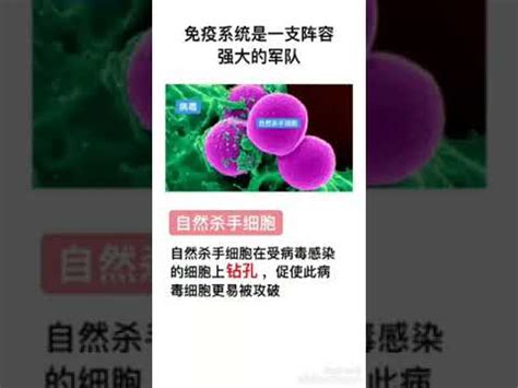 预约挂号 医疗机构基本信息 社区健康服务中心 医疗服务价格 医院 开展新冠病毒核酸采样服务机构. 新冠肺炎 - YouTube