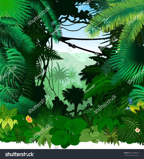 Vector Tropical Rainforest Jungle 126298943 Shutterstock