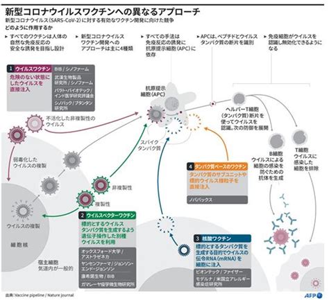 Ecchi / sf・ファンタジー / ギャグ・コメディ. 米ファイザー製ワクチン アナフィラキシー6人発生、0．002％の ...