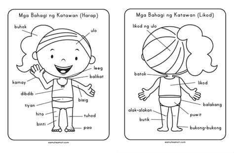 Filipino Mga Bahagi Ng Katawan Diagram Quizlet