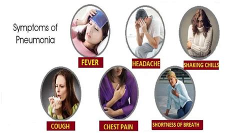 Symptoms Of Pneumonia And Its Treatment Causes And Prevention