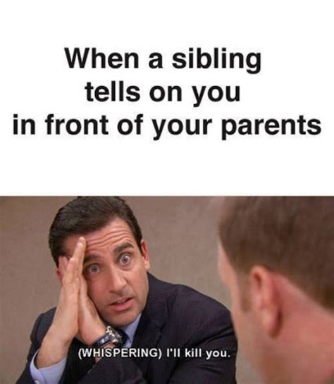 23 Memes About Siblings That You Can Most Probably Relate To Gallery