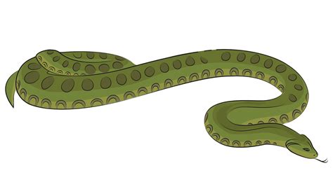 Snake Clipart Coiled Cartoon Style Anaconda Snake Reptile Clipart