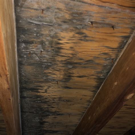 How To Find A Roof Leak In The Attic What Is The Best Way To Locate A