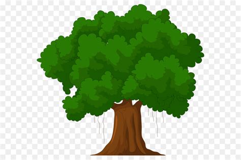 Téléchargez ces vecteur premium sur dessin d'arbre d'hiver, et découvrez plus de 13m de ressources graphiques professionnelles sur freepik Dessin Animé, Arbre, Dessin PNG - Dessin Animé, Arbre ...