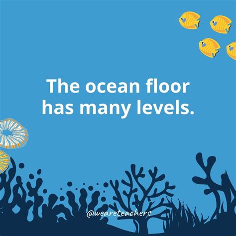 Ocean Facts For Kids To Share In The Classroom And At Home News Magazine