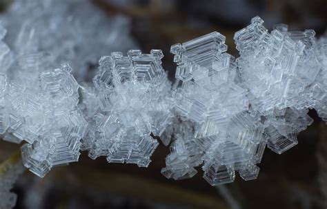 Beautiful Snowflake And Ice Crystal Photos Submitted By Our Readers