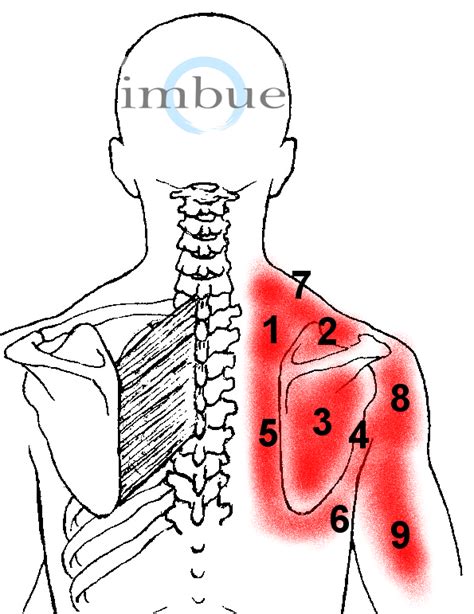 Back Pain Under Right Shoulder Blade Gas