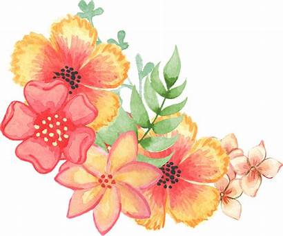 Watercolor Flowers Floral Decoration Embellishment Flower Pattern