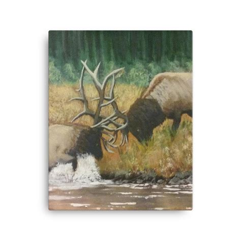 Two Bull Elk Fighting At The River In The Mountains Canvas Etsy