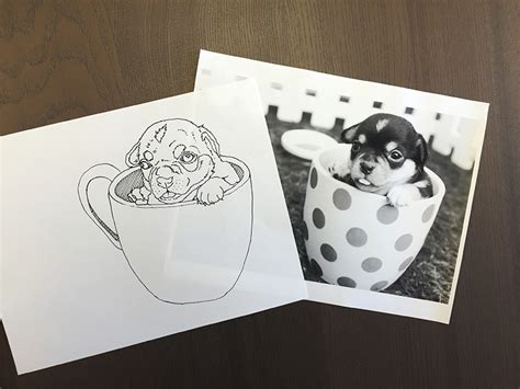 How to Turn a Photo into a Vector Line Art with Illustrator - Web Ascender