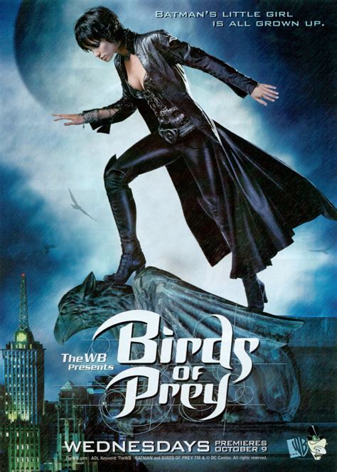 Birds Of Prey Extra Large Tv Poster Image Imp Awards