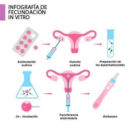 Foto de Cuáles son las mejores clínicas de Fecundación In Vitro en Madrid Mujer Fertil