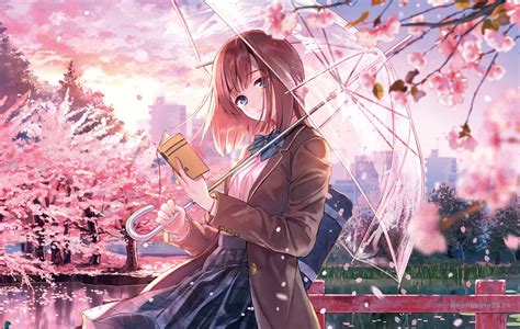 Anime Girl Cherry Blossom Season 5k Hd Anime 4k Wallpapers Images