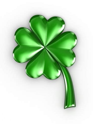 Irish Four Leaf Clover Why Are Some People Lucky