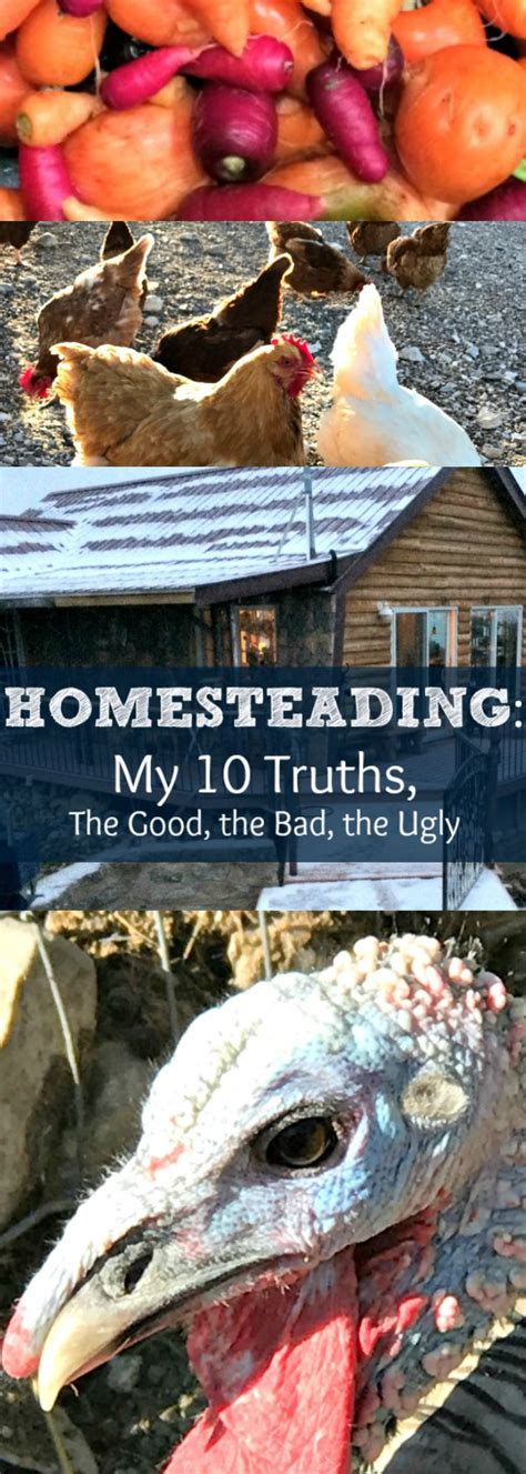 Homesteading My 10 Truths About The Homesteading Life — All Posts